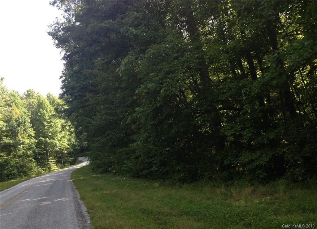 Tbd Old Toxaway Road Brevard, NC 28712 - Photo 2 of 4 Gallery Image 2