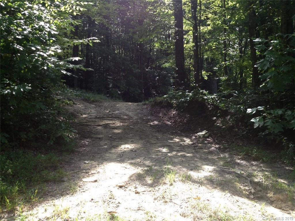 Tbd Old Toxaway Road Brevard, NC 28712 - Photo 3 of 4 Gallery Image 3