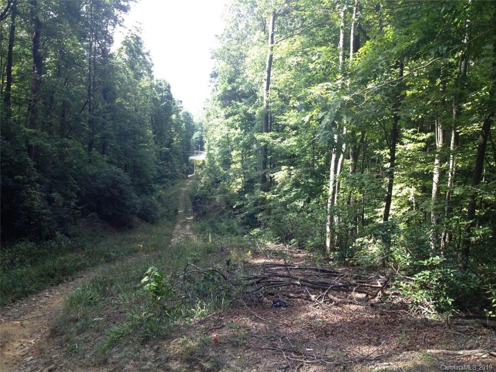 Tbd Old Toxaway Road Brevard, NC 28712 - Photo 4 of 4 Gallery Image 4