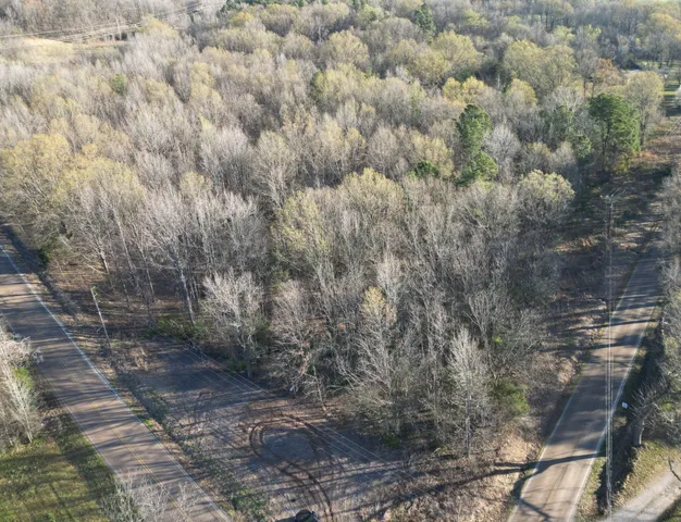 a view of a yard with a tree