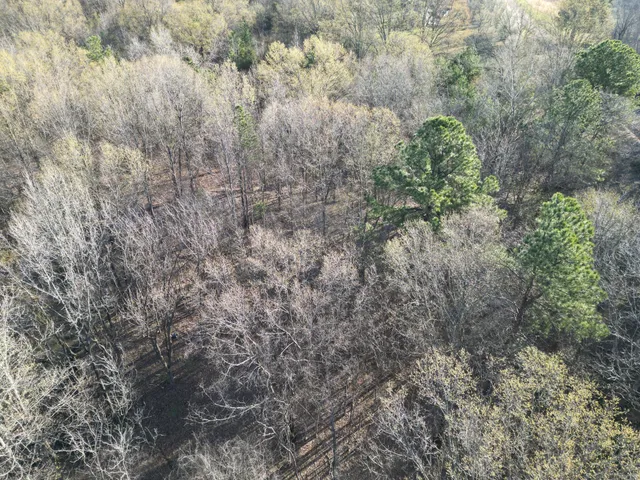 a view of a lush green field