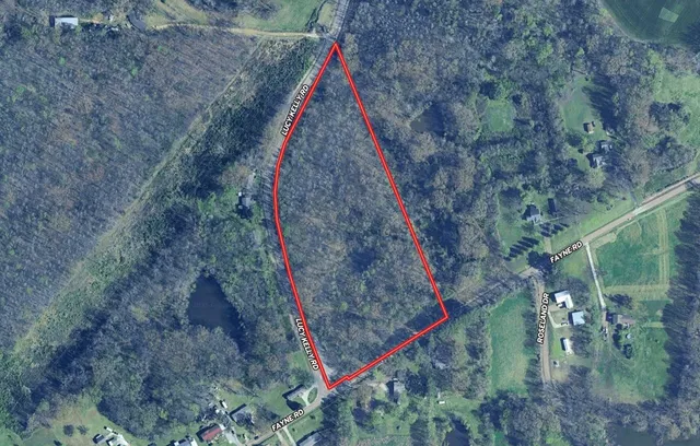 a view of a lush green forest with lots of trees