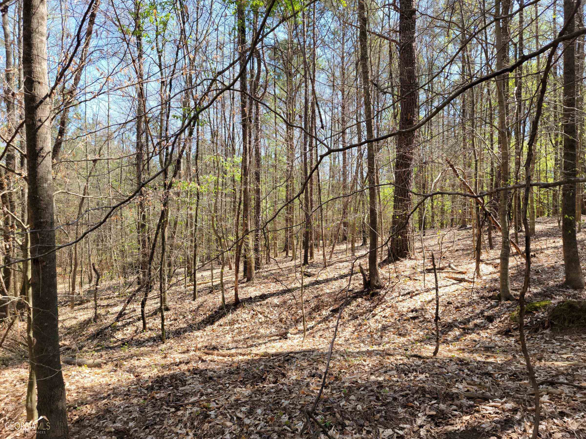 0 Sand Pit Road Summerville, GA 30747 - Photo 6 of 15 Gallery Image 6