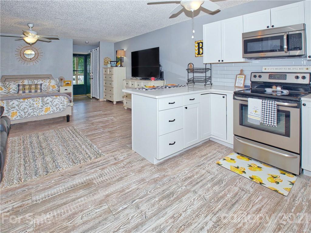 160 Whitney Boulevard, Unit 65 Lake Lure, NC 28746 - Photo 7 of 21 a room with furniture and a flat screen tv