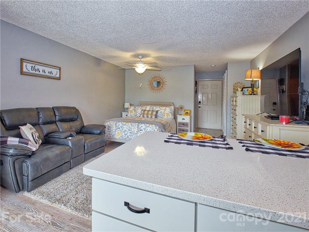160 Whitney Boulevard, Unit 65 Lake Lure, NC 28746 - Photo 9 of 21 a living room with furniture and a flat screen tv