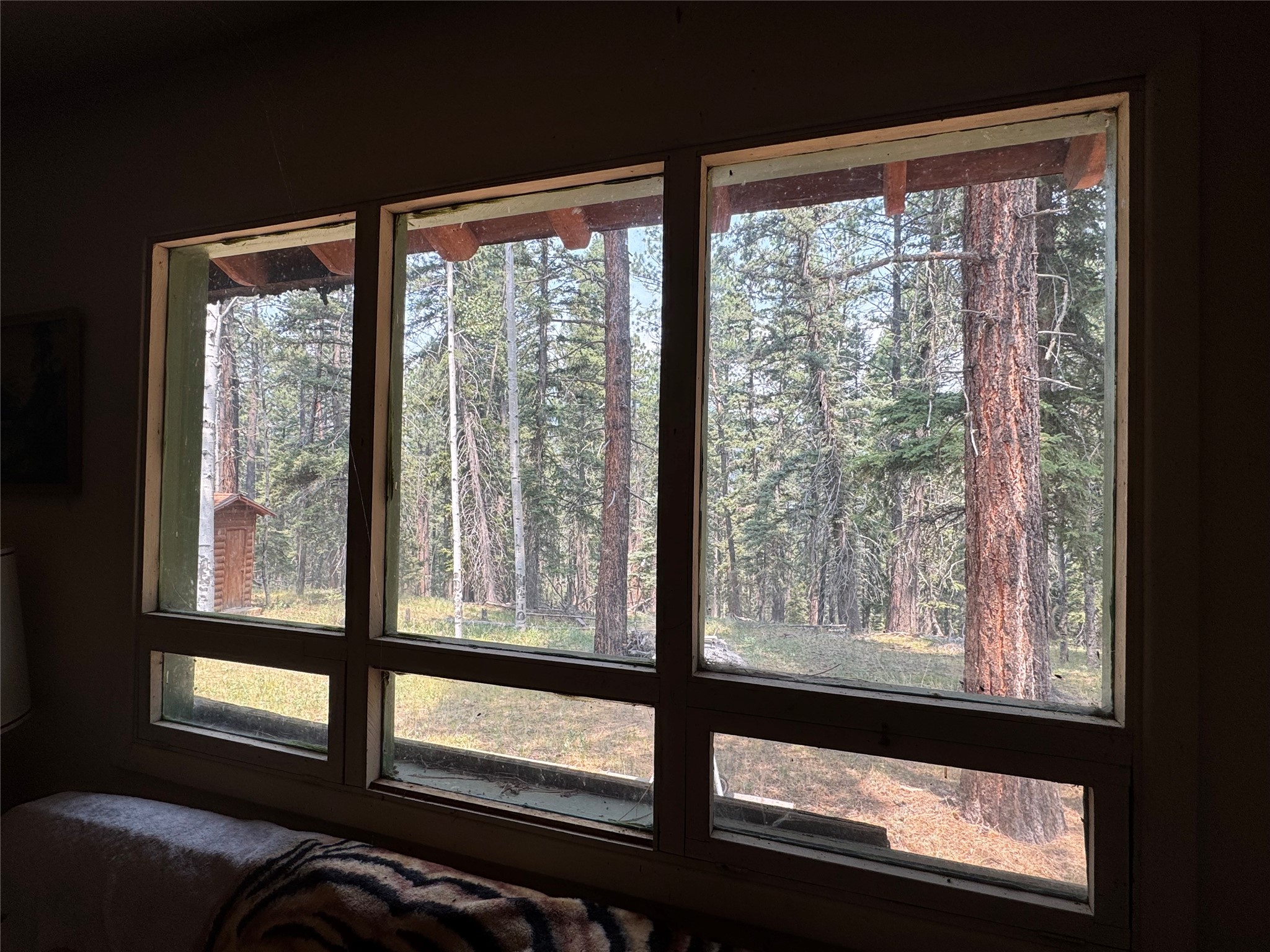 40 Grass Mountain Road Tererro, NM 87573 - Photo 6 of 23 Gallery Image 6