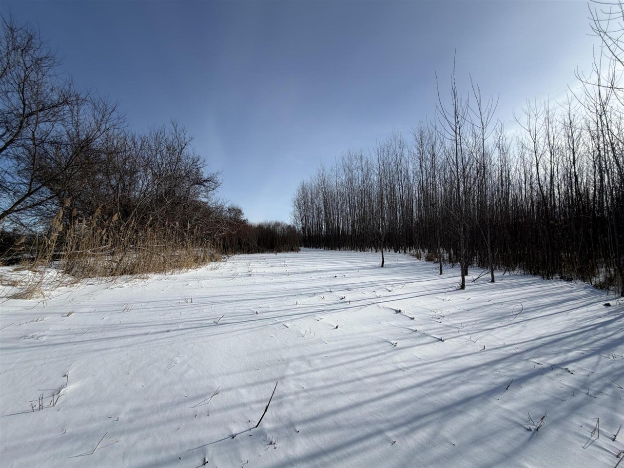 V/l Cade Road Capac, MI 48014 - Photo 36 of 51