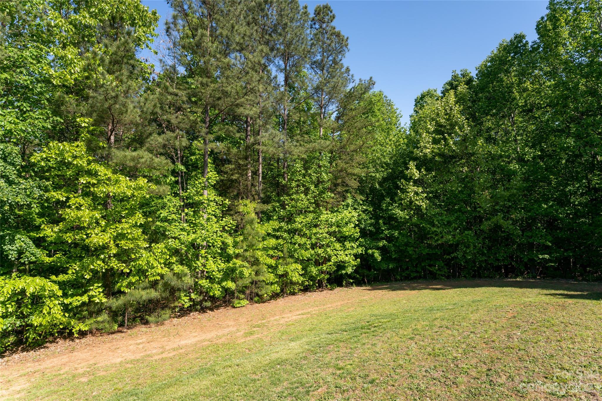 134 Quebec Trail Bostic, NC 28018 - Photo 37 of 37 a view of a yard with a tree