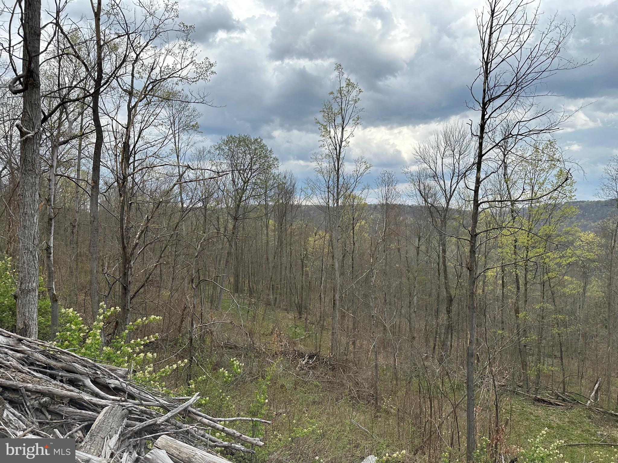 111 Rob Roy Road Bradford, PA 16701 - Photo 11 of 36