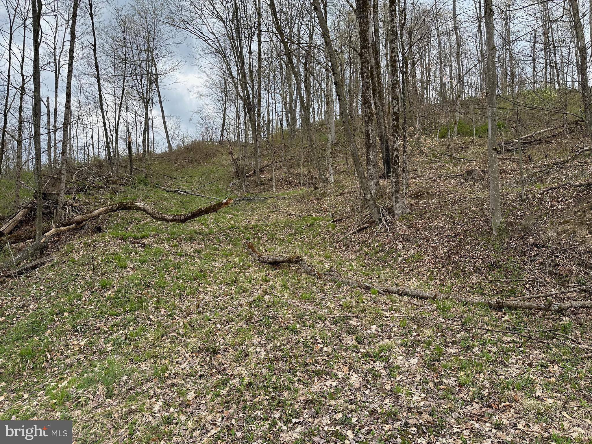 111 Rob Roy Road Bradford, PA 16701 - Photo 12 of 36