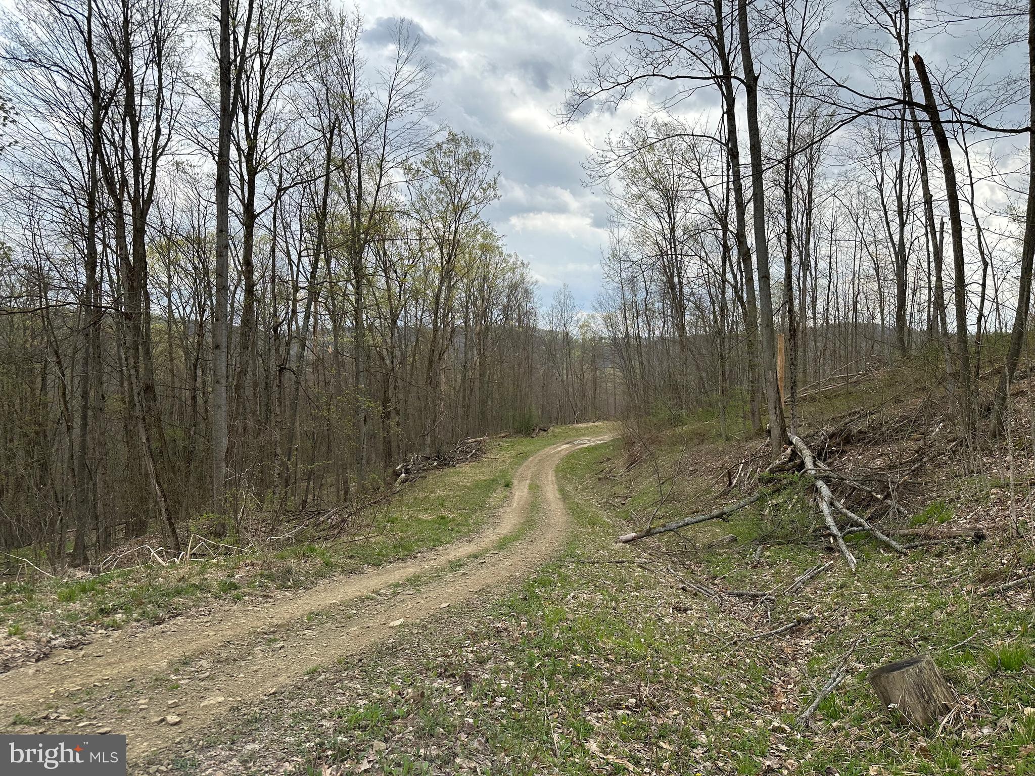 111 Rob Roy Road Bradford, PA 16701 - Photo 13 of 36