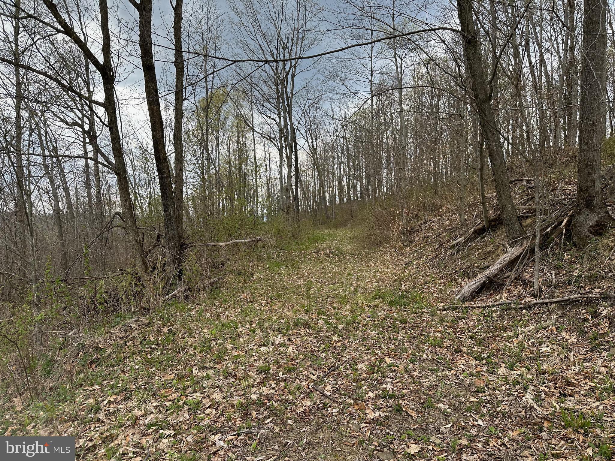 111 Rob Roy Road Bradford, PA 16701 - Photo 14 of 36