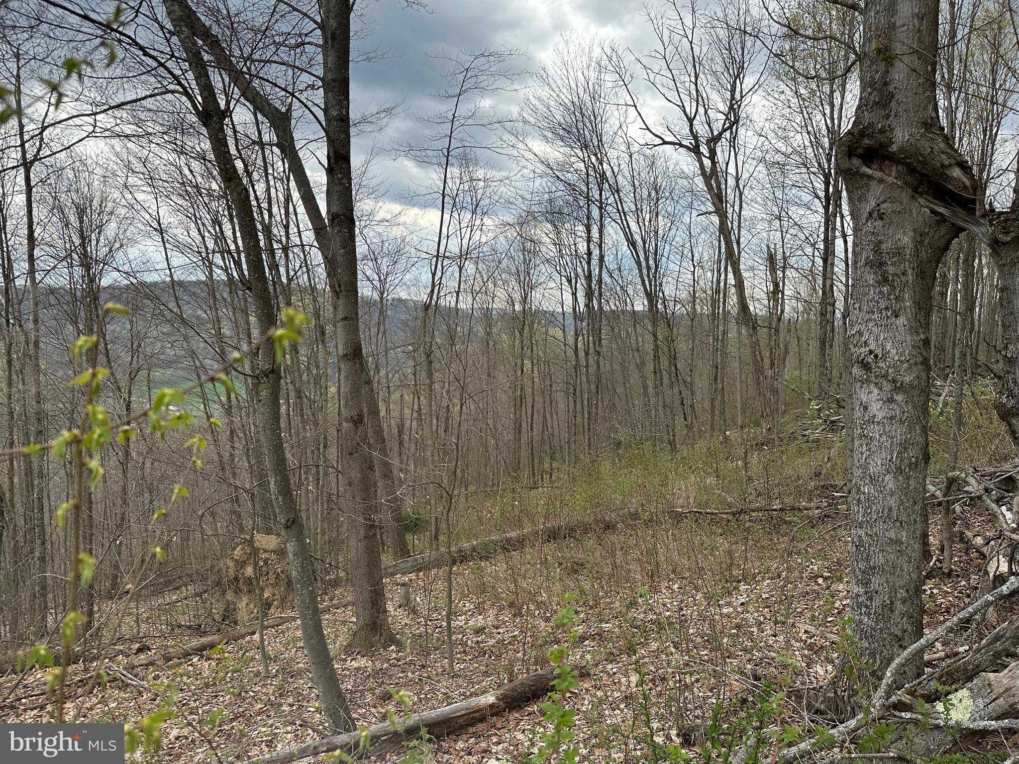 111 Rob Roy Road Bradford, PA 16701 - Photo 15 of 36