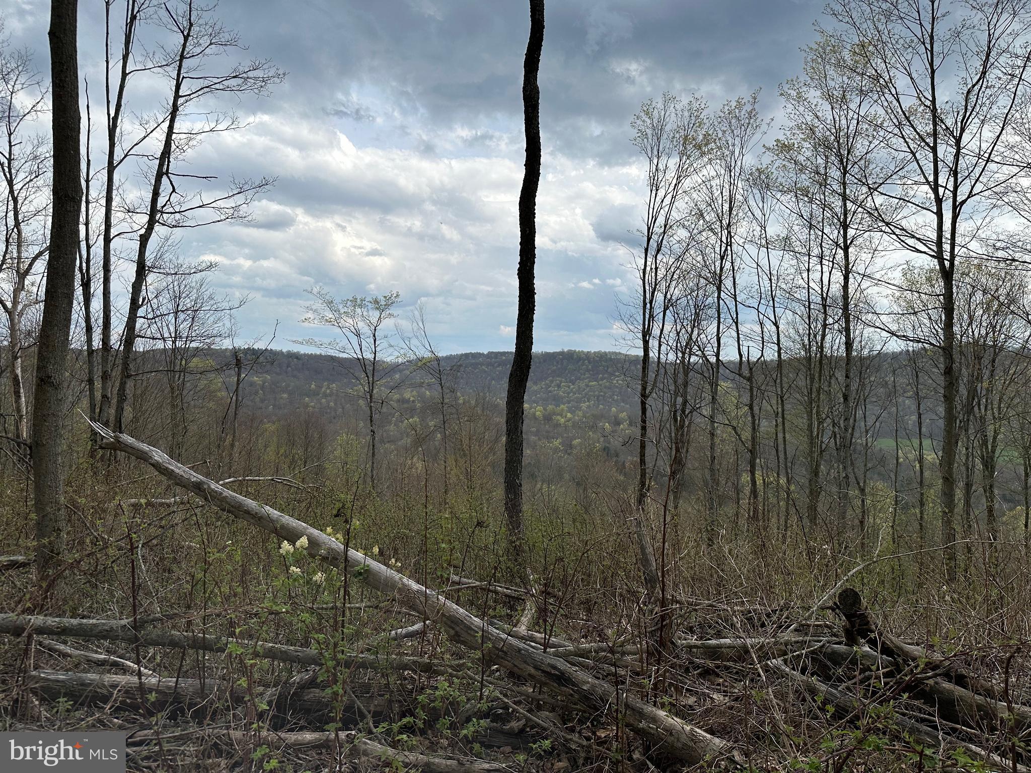 111 Rob Roy Road Bradford, PA 16701 - Photo 16 of 36