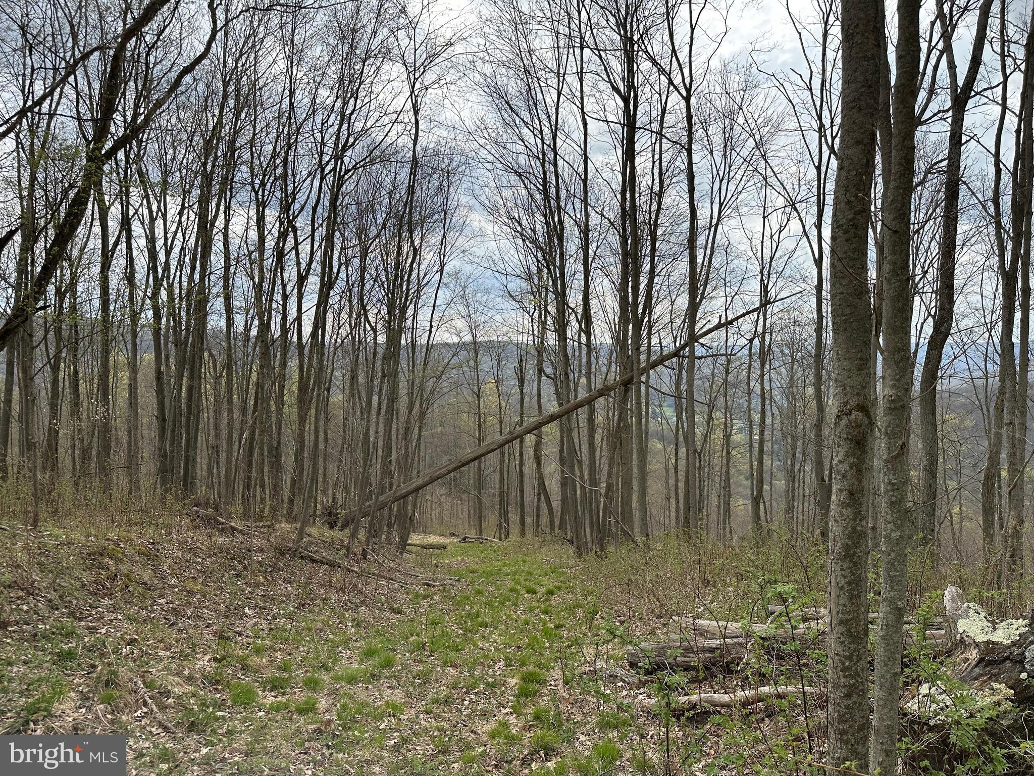 111 Rob Roy Road Bradford, PA 16701 - Photo 17 of 36