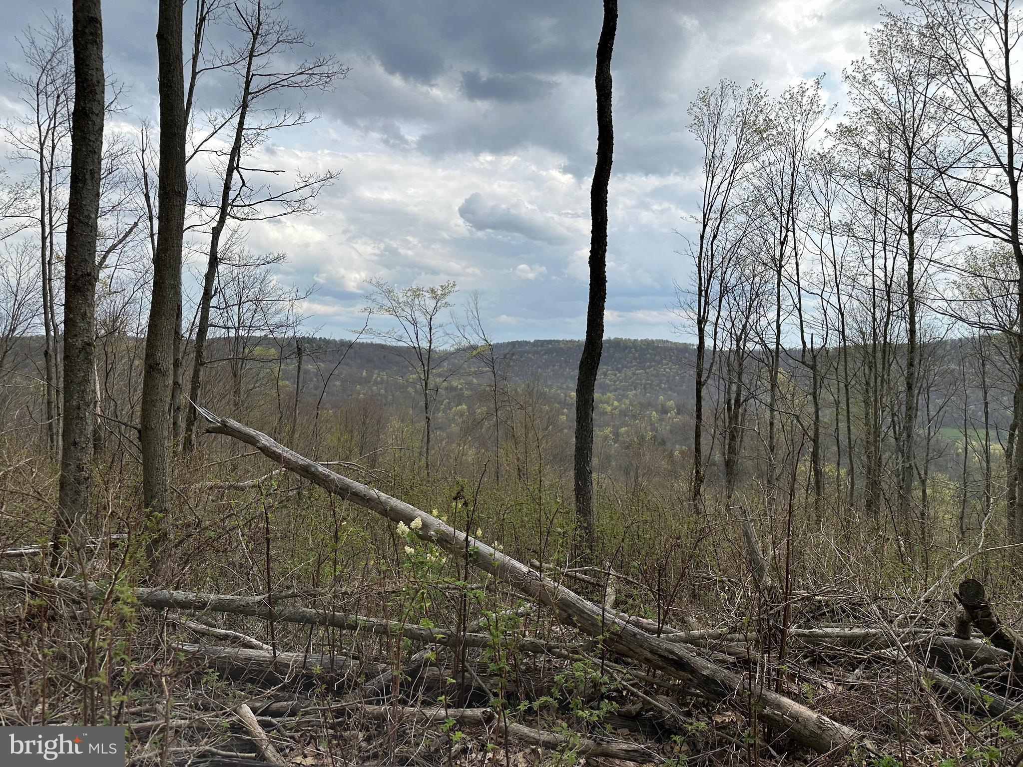 111 Rob Roy Road Bradford, PA 16701 - Photo 18 of 36