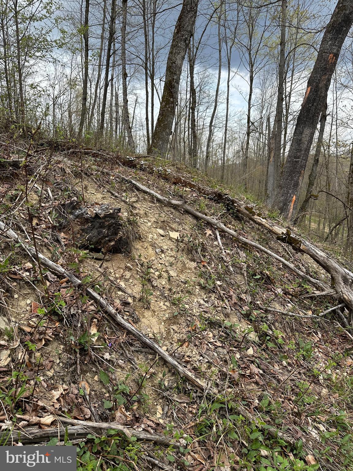 111 Rob Roy Road Bradford, PA 16701 - Photo 20 of 36