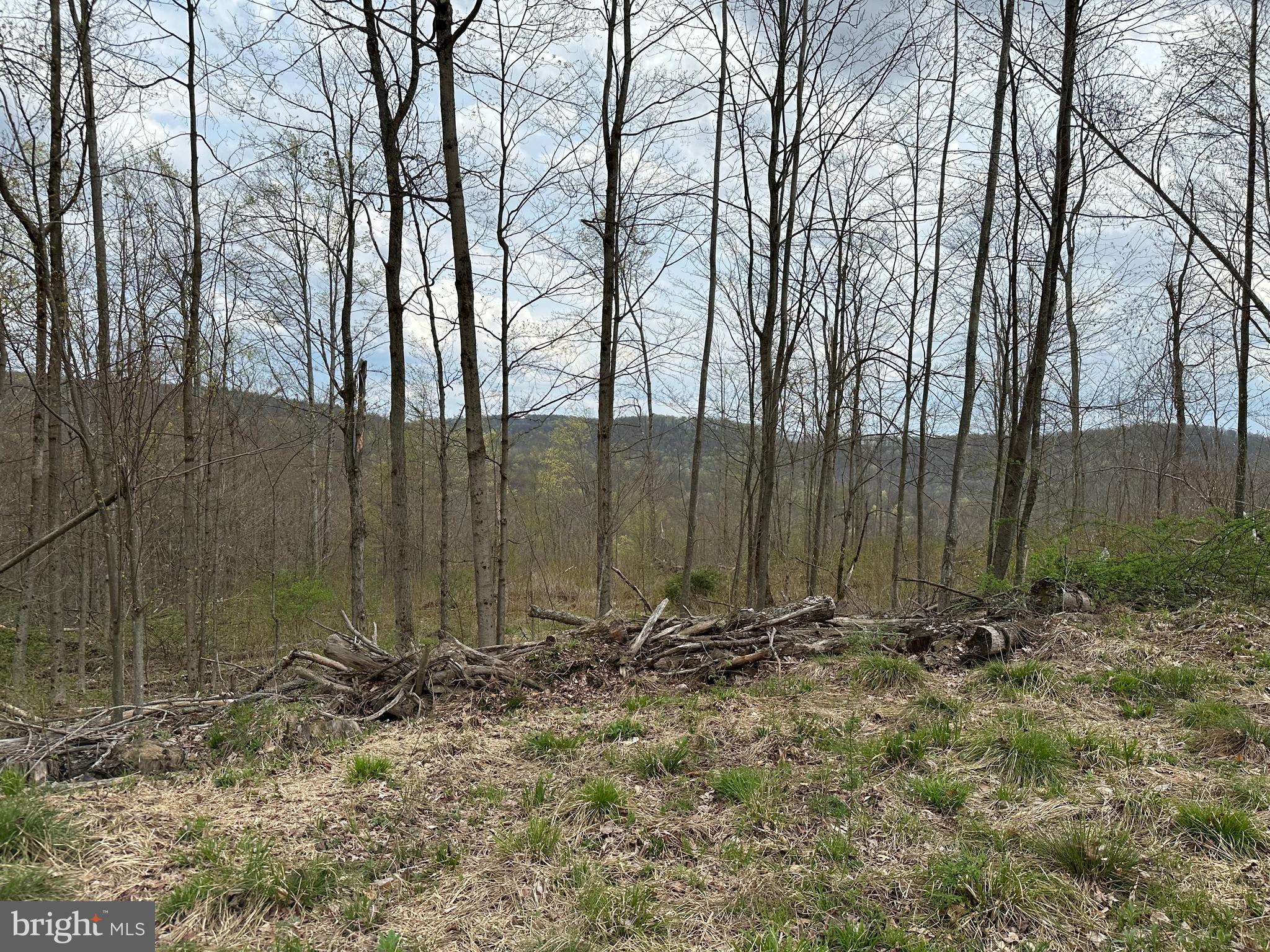 111 Rob Roy Road Bradford, PA 16701 - Photo 21 of 36