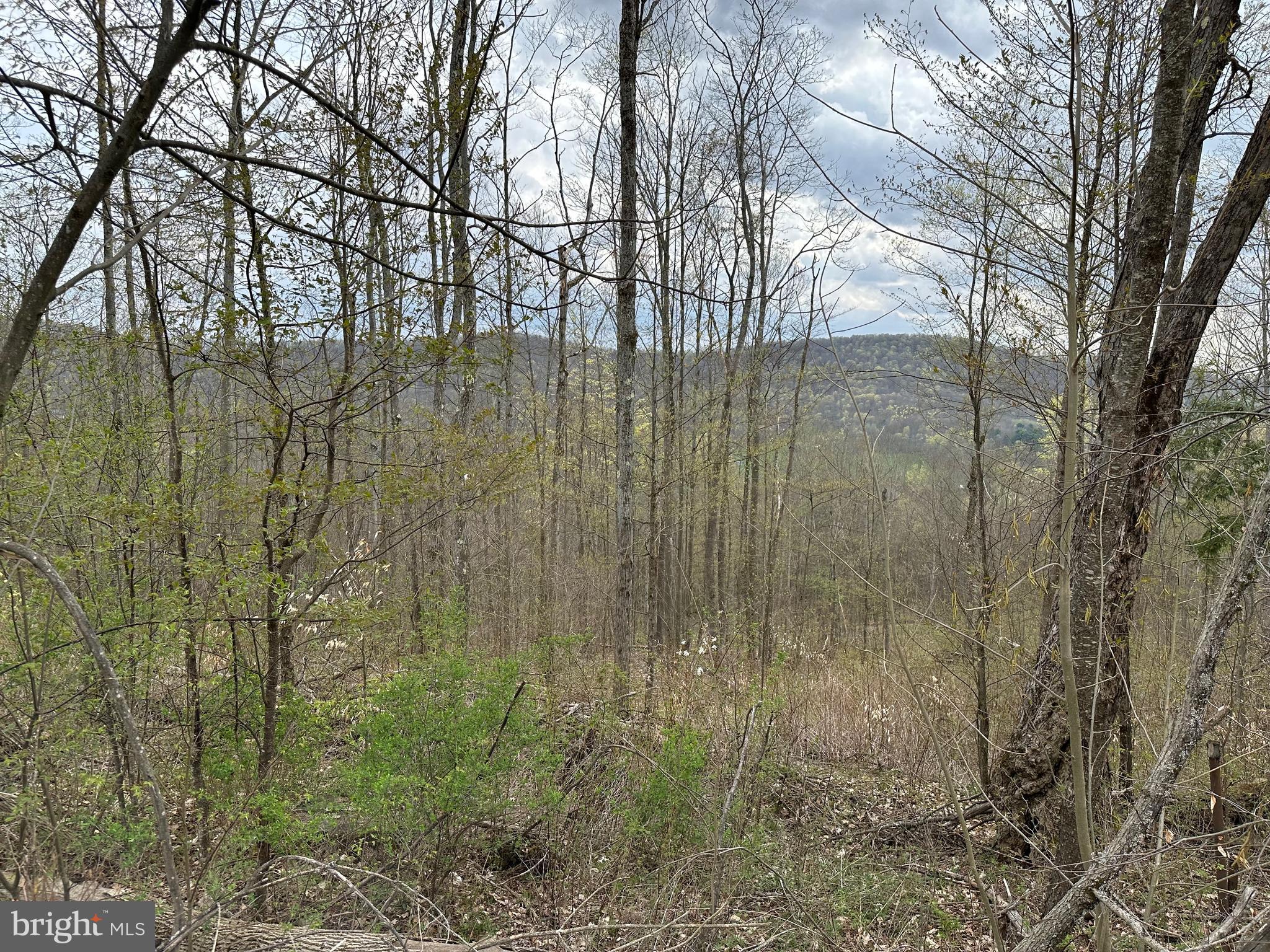 111 Rob Roy Road Bradford, PA 16701 - Photo 22 of 36