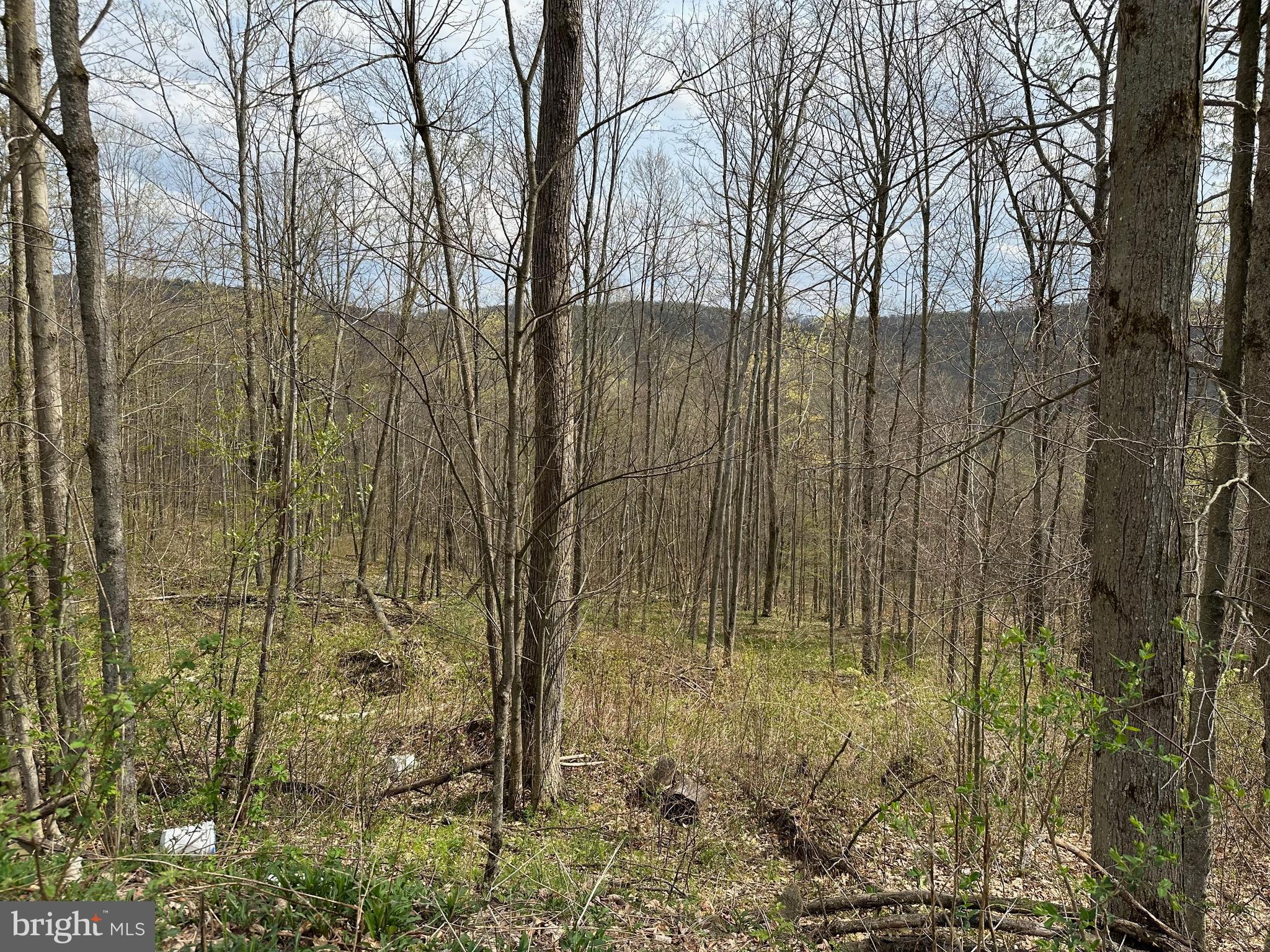 111 Rob Roy Road Bradford, PA 16701 - Photo 25 of 36