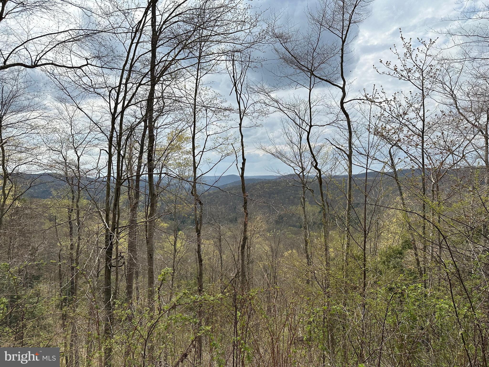 111 Rob Roy Road Bradford, PA 16701 - Photo 26 of 36