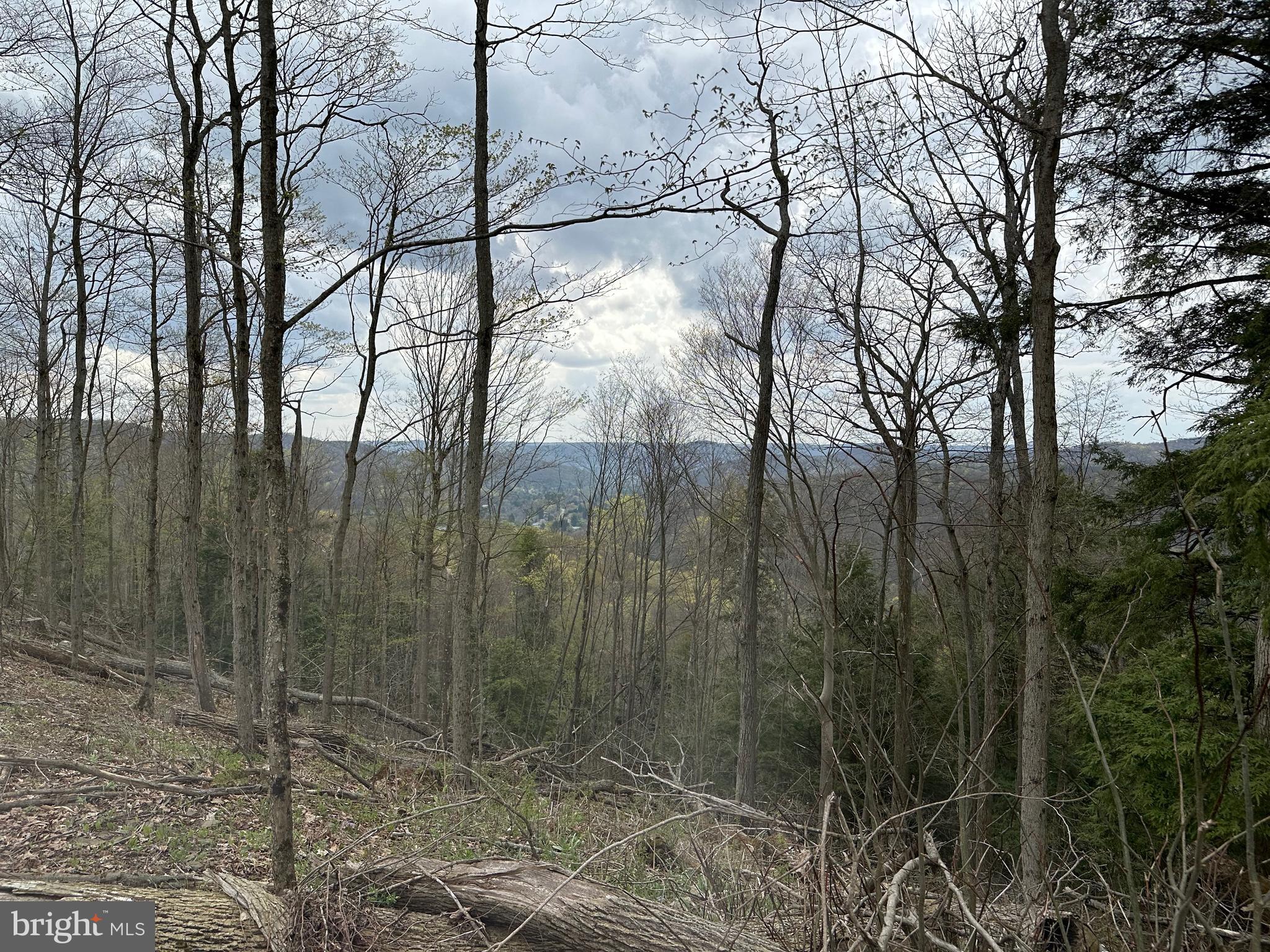 111 Rob Roy Road Bradford, PA 16701 - Photo 3 of 36