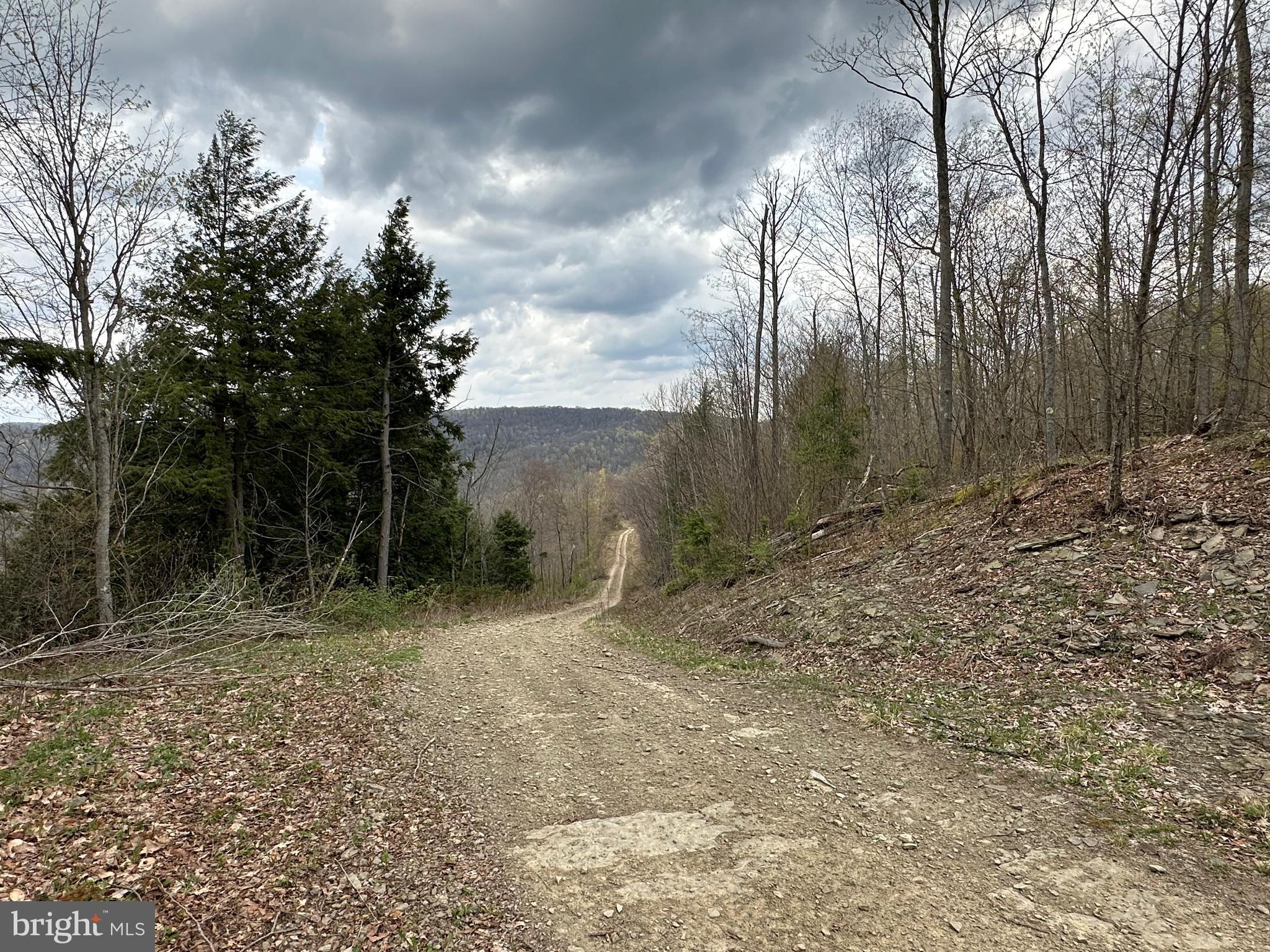 111 Rob Roy Road Bradford, PA 16701 - Photo 4 of 36