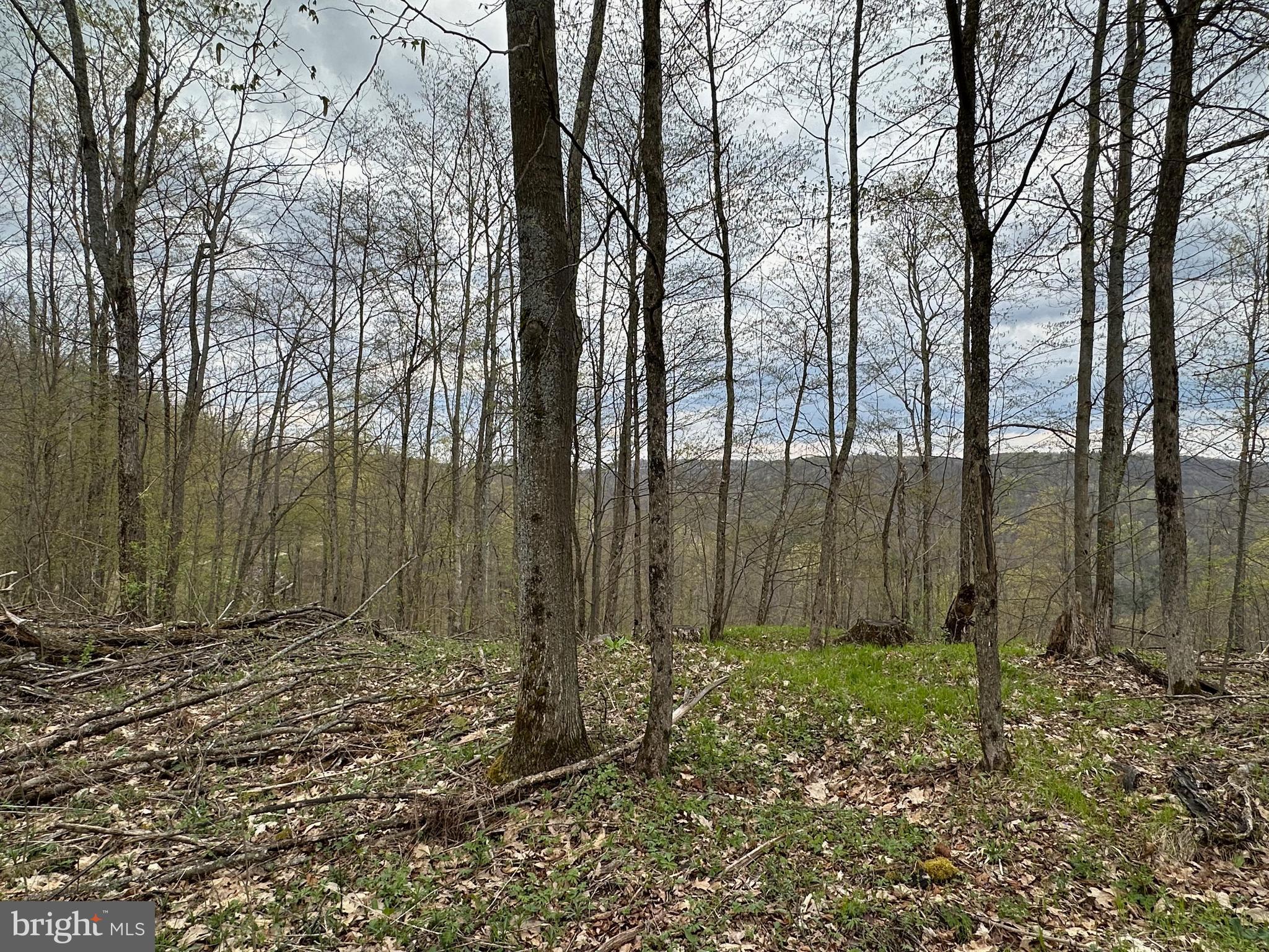 111 Rob Roy Road Bradford, PA 16701 - Photo 5 of 36