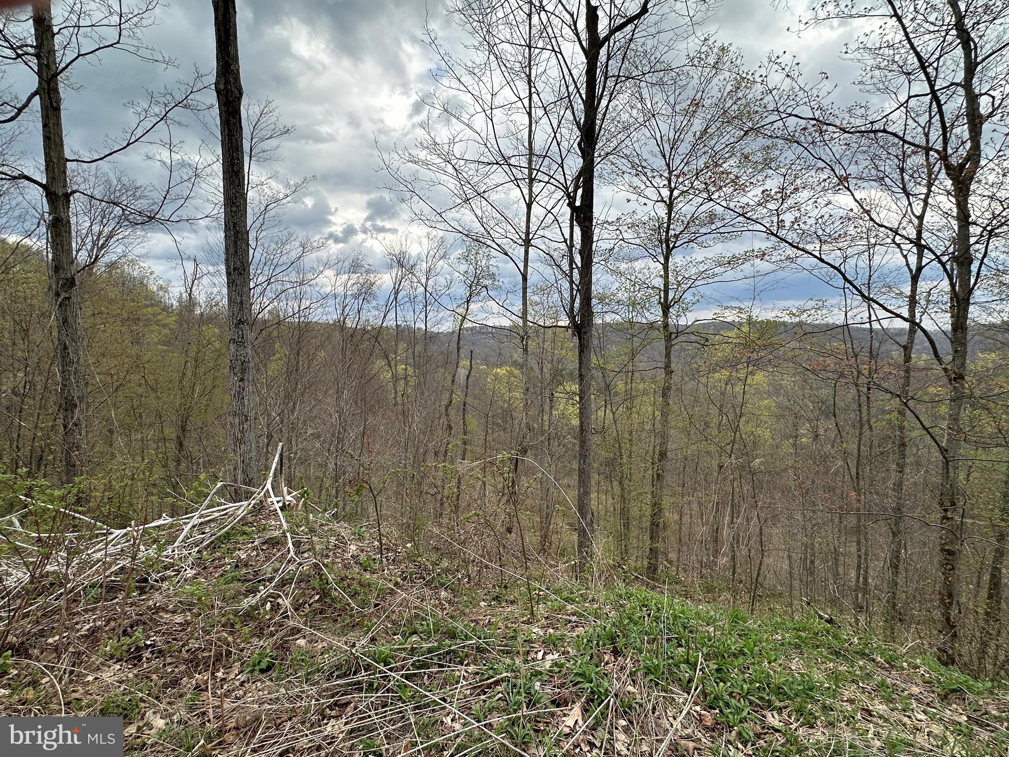 111 Rob Roy Road Bradford, PA 16701 - Photo 9 of 36