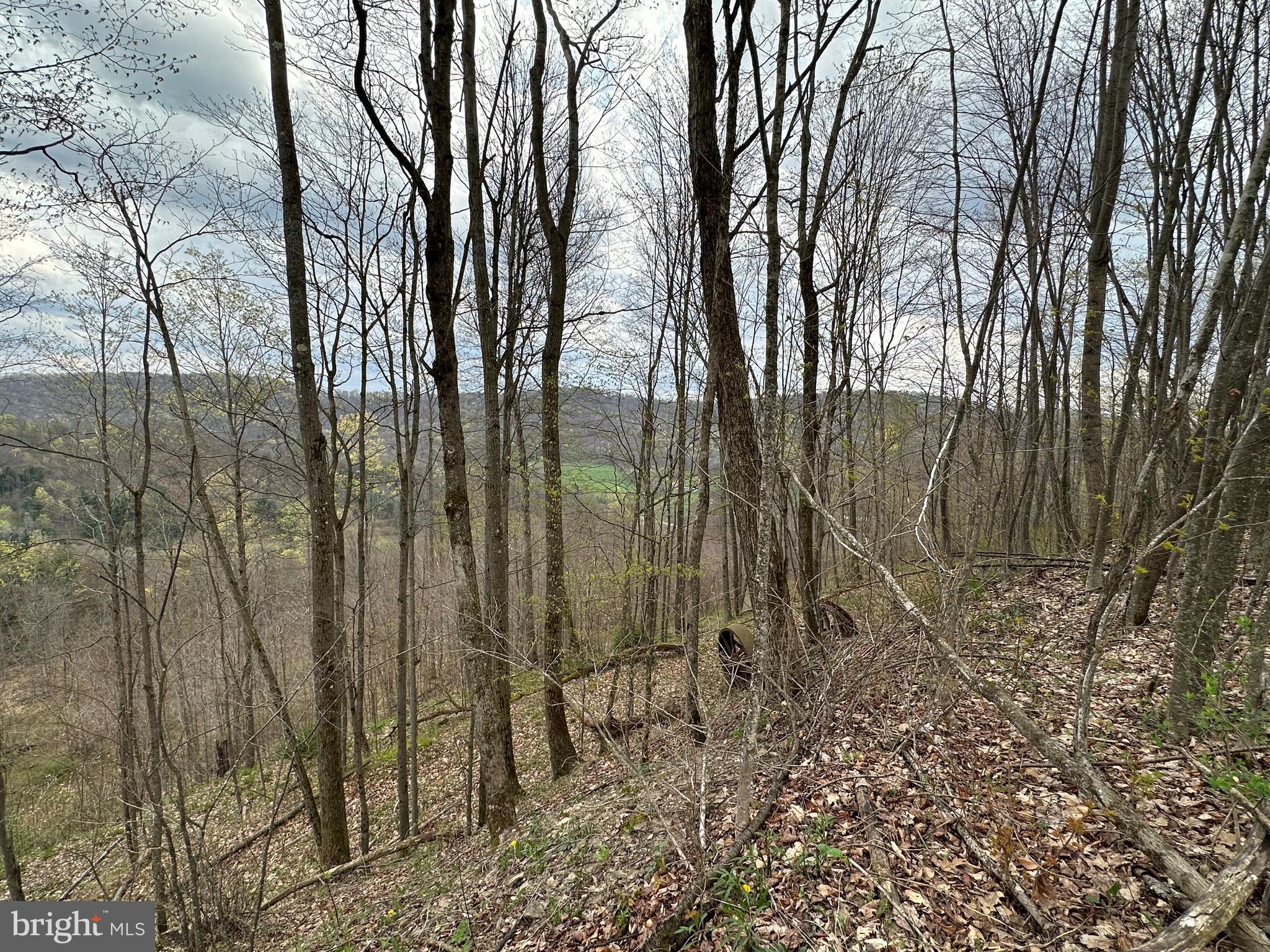 111 Rob Roy Road Bradford, PA 16701 - Photo 10 of 36