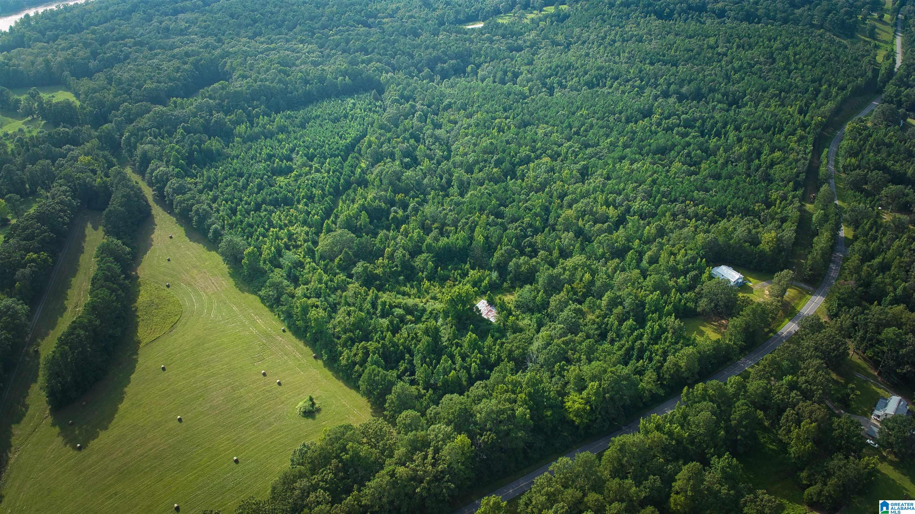 Lot 20 Wester Road, Unit LOT 20 Ragland, AL 35131 - Photo 46 of 68