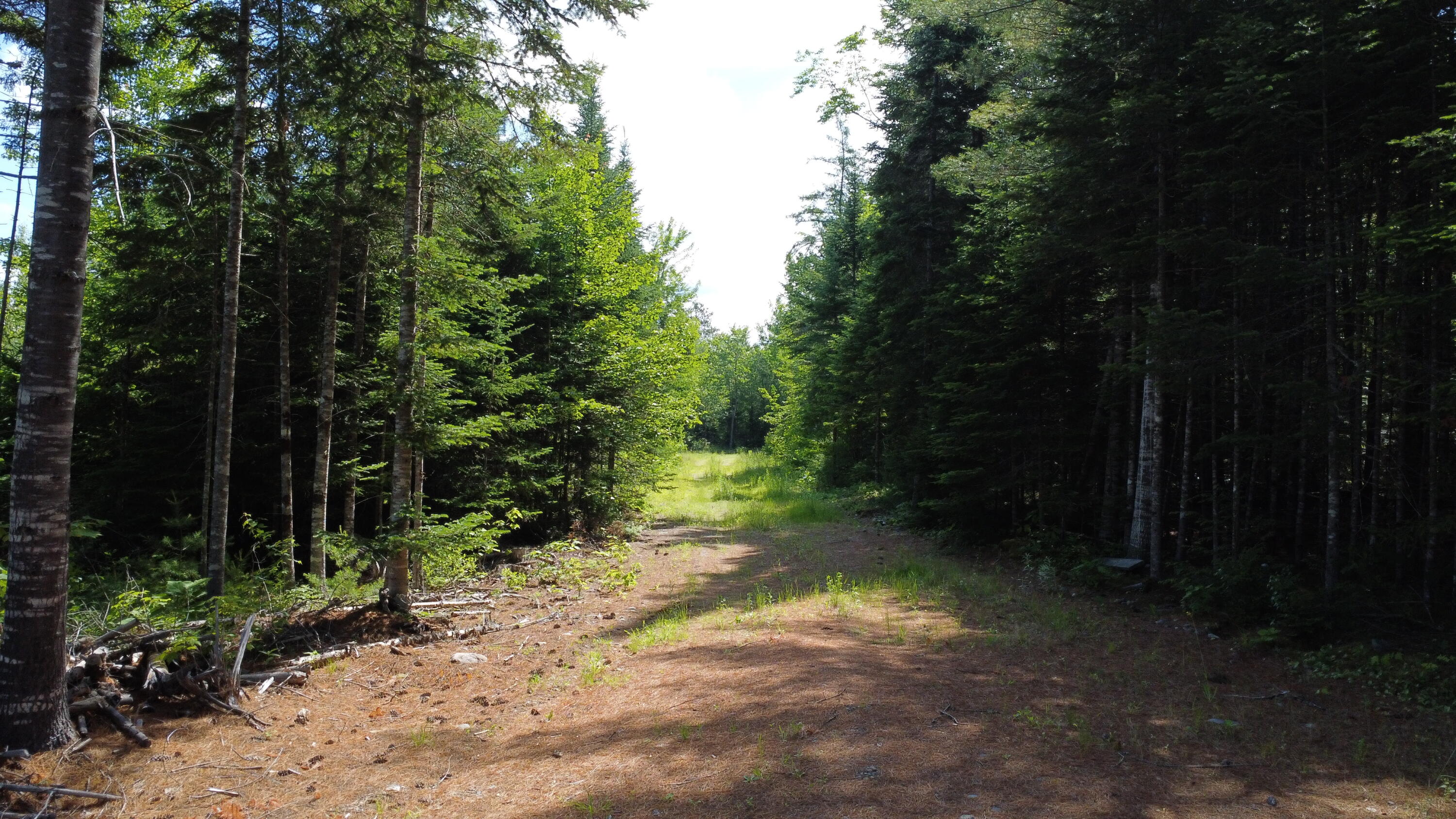 30-007 Cardville Road Greenbush, ME 04418 - Photo 19 of 19 DJI_0080