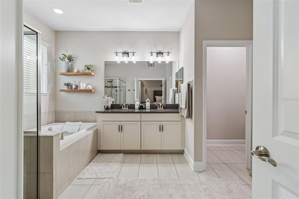 19779 Morsani Road Lutz, FL 33558 - Photo 42 of 94