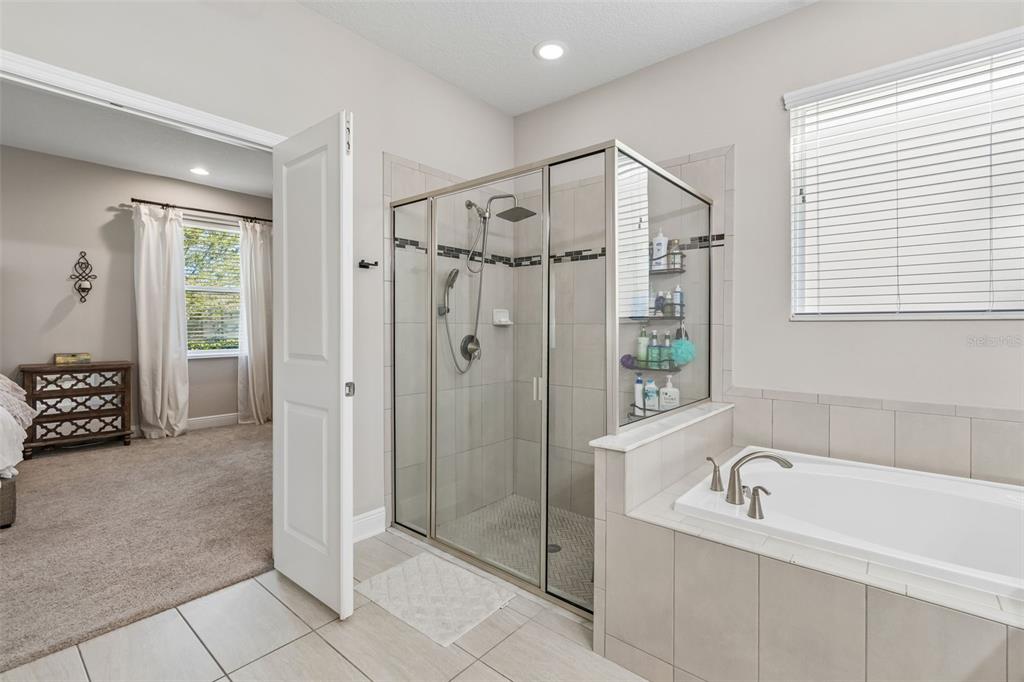 19779 Morsani Road Lutz, FL 33558 - Photo 46 of 94