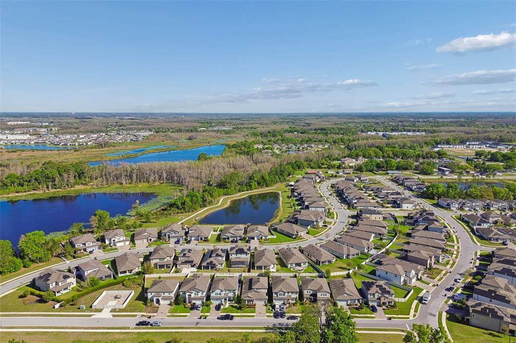 19779 Morsani Road Lutz, FL 33558 - Photo 72 of 94