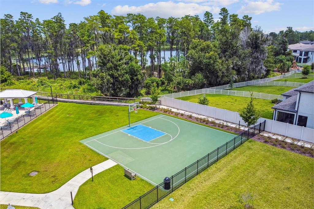19779 Morsani Road Lutz, FL 33558 - Photo 91 of 94