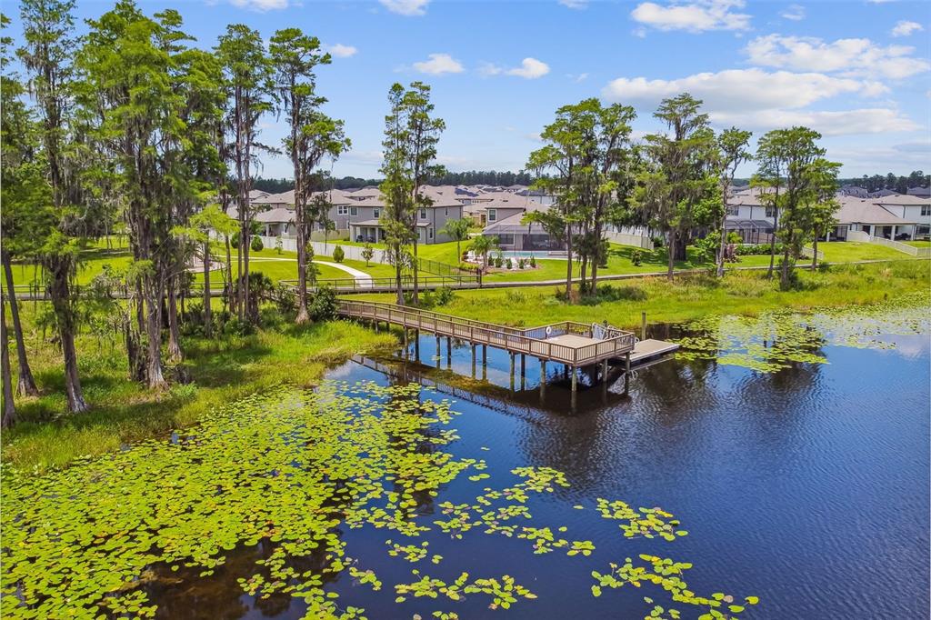 19779 Morsani Road Lutz, FL 33558 - Photo 93 of 94