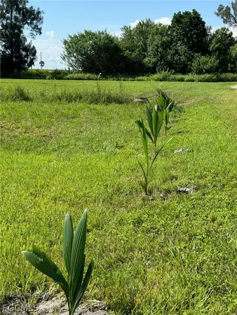 a view of a lake with a yard