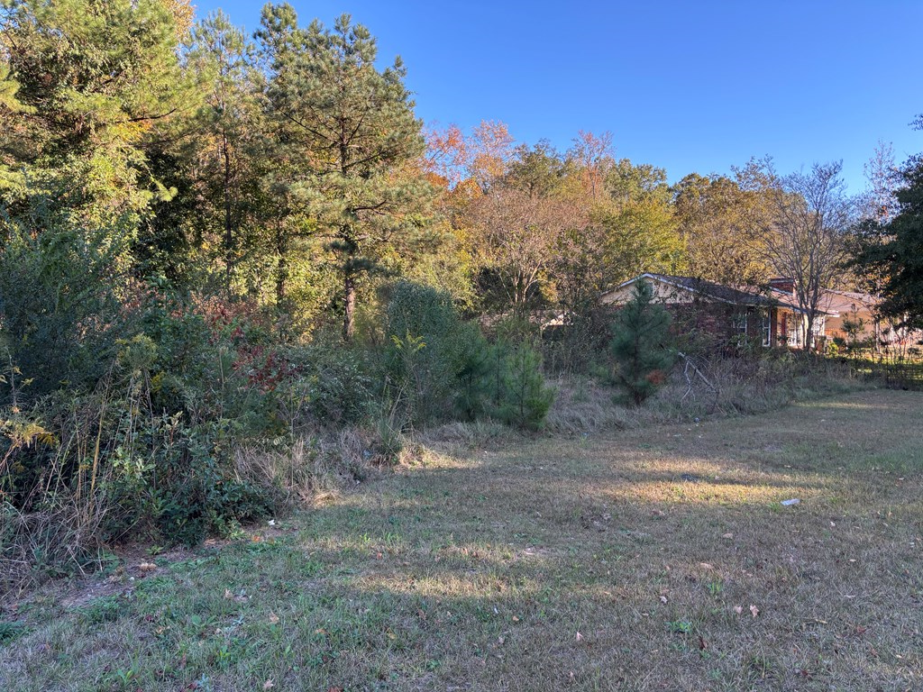 4832 Rowland Avenue Columbus, GA 31907 - Photo 2 of 10 a view of a dirt road with trees in the background
