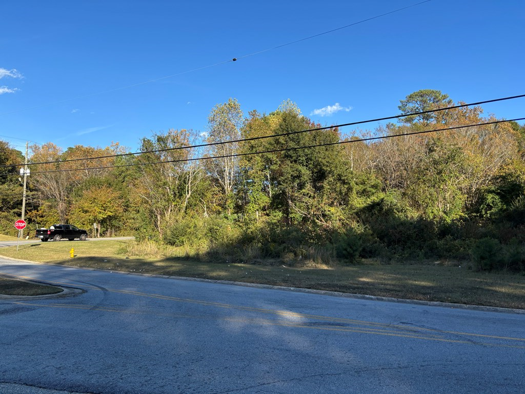 4832 Rowland Avenue Columbus, GA 31907 - Photo 3 of 10 a view of a yard