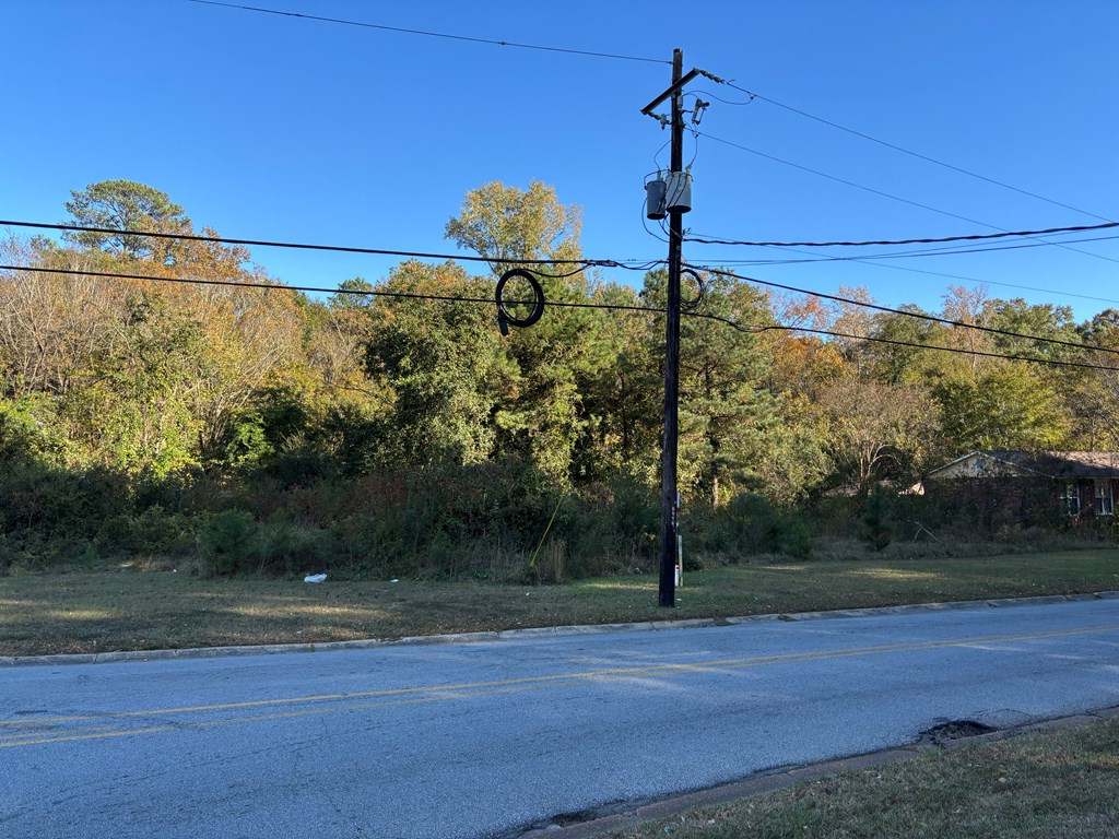4832 Rowland Avenue Columbus, GA 31907 - Photo 4 of 10 a view of a yard in front of a house with a yard