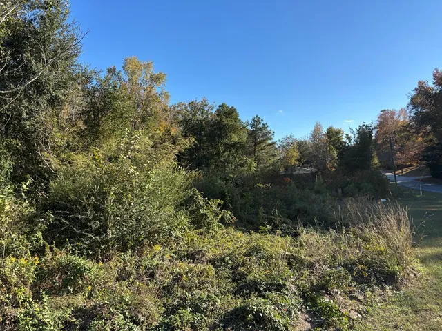 a view of a lake with a tree in the background