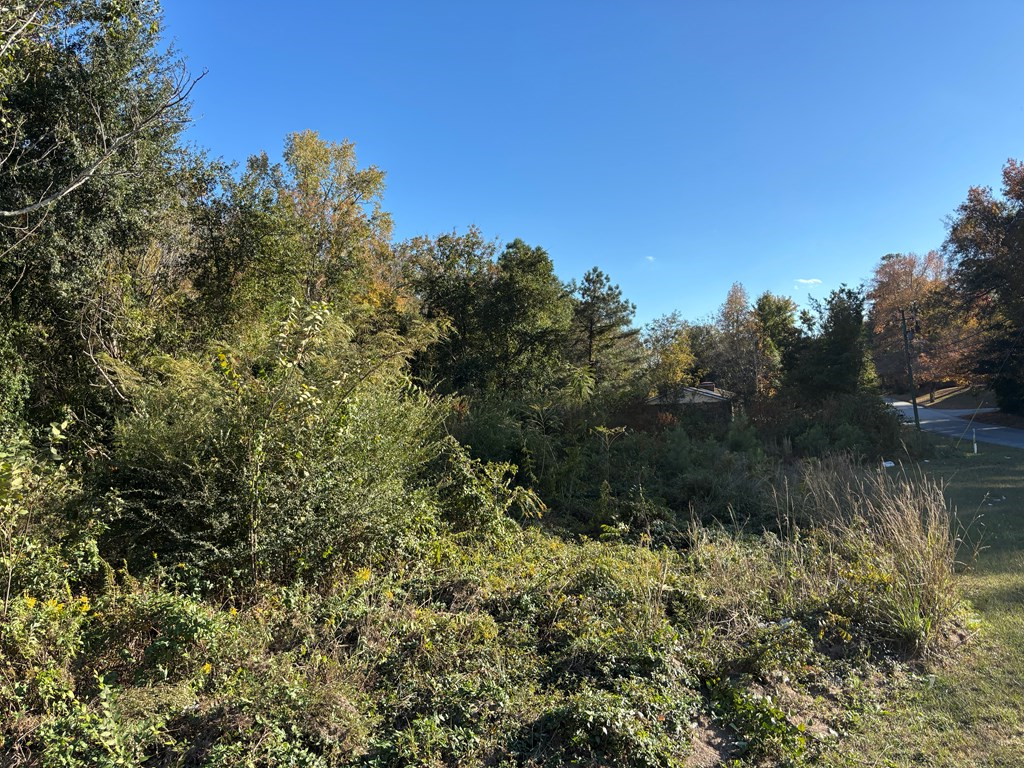 4832 Rowland Avenue Columbus, GA 31907 - Photo 10 of 10 a view of a lake with a tree in the background