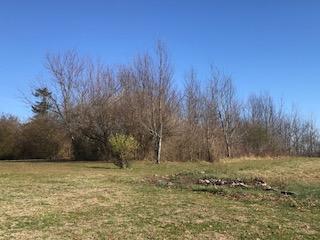 2481 Pigeon Ridge Road Crossville, TN 38555 - Photo 1 of 6 image1 7