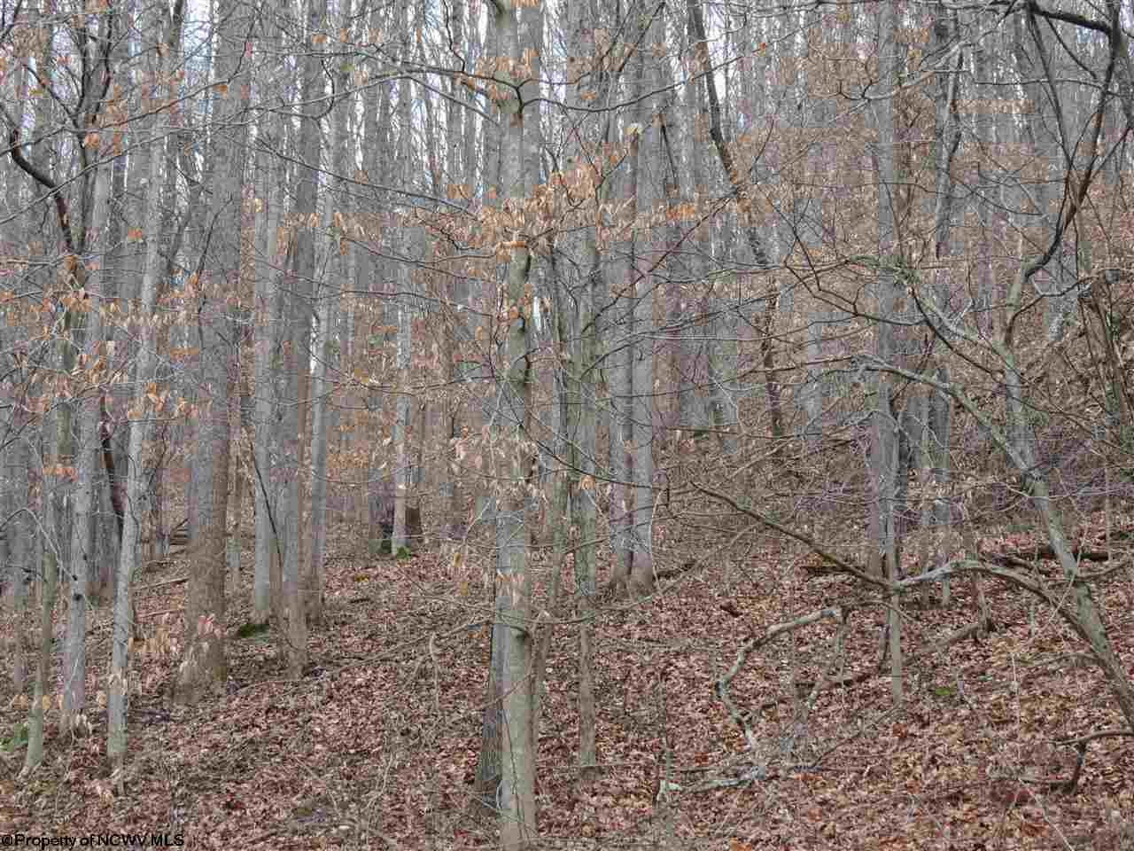 8000 Clay Road Looneyville, WV 25259 - Photo 5 of 7 Gallery Image 5