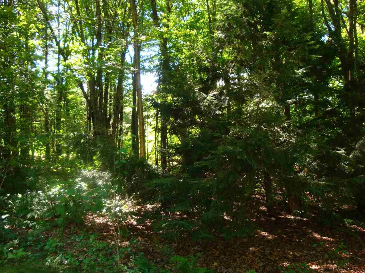 7105 Fish House Road Galway, NY 12074 - Photo 20 of 20 Photo 20