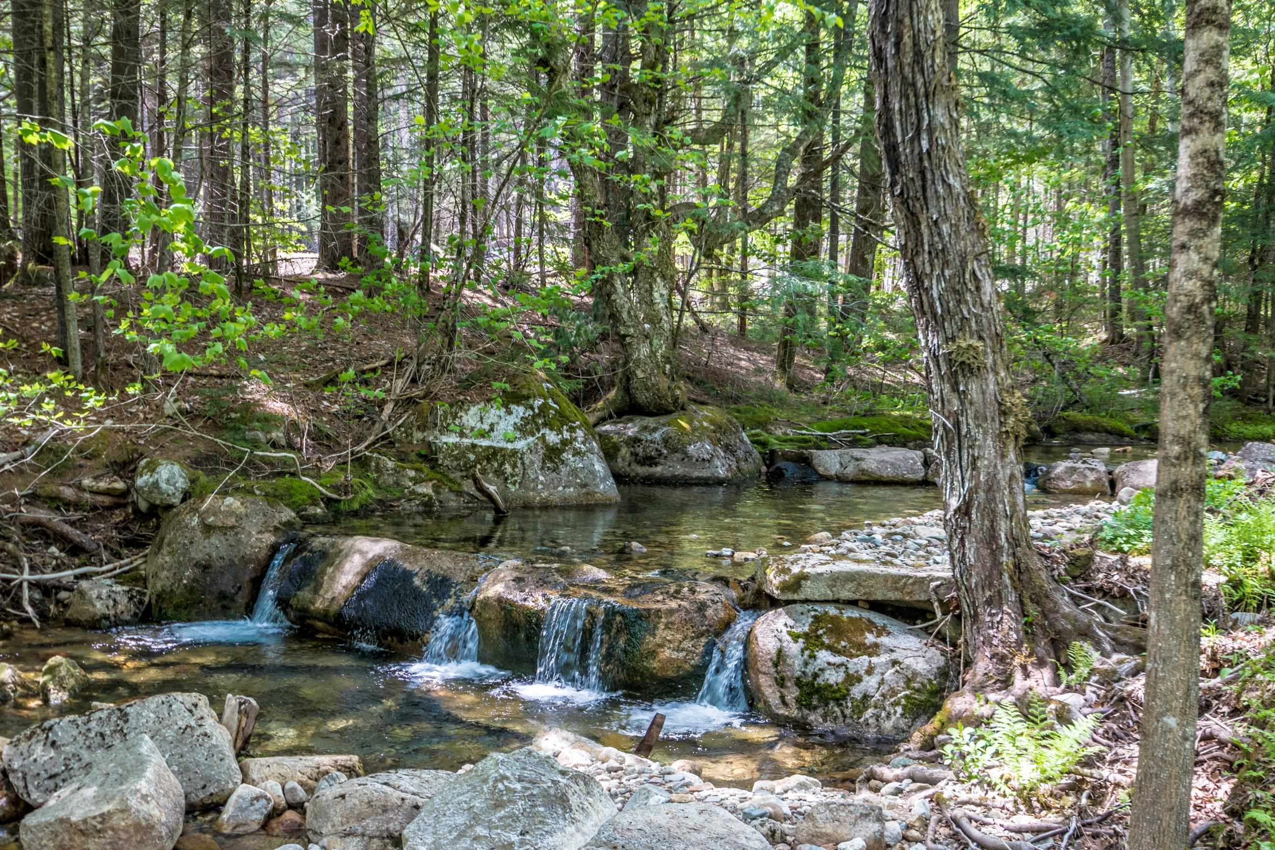 516 Dundee Road Jackson, NH 03846 - Photo 3 of 48