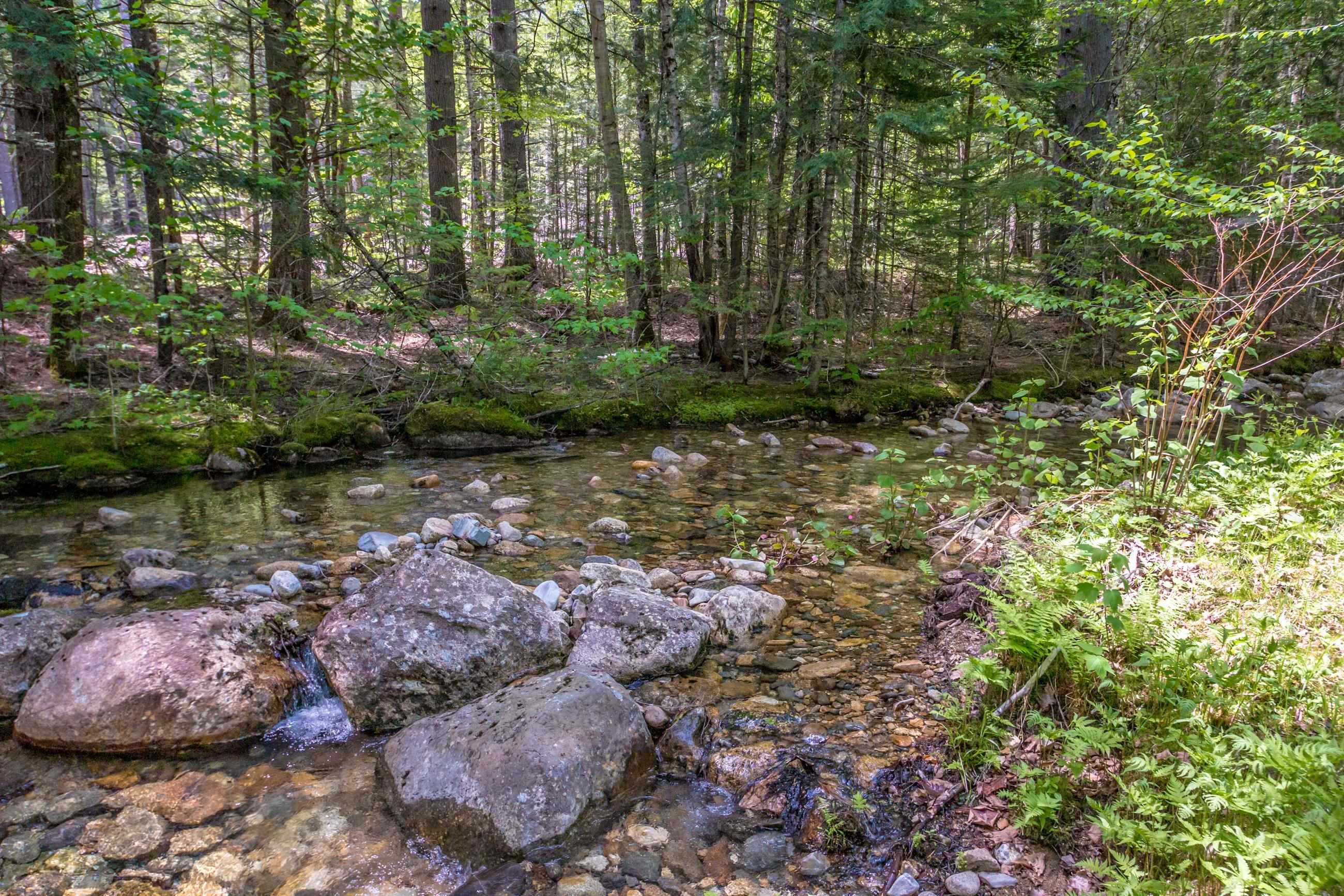 516 Dundee Road Jackson, NH 03846 - Photo 10 of 48