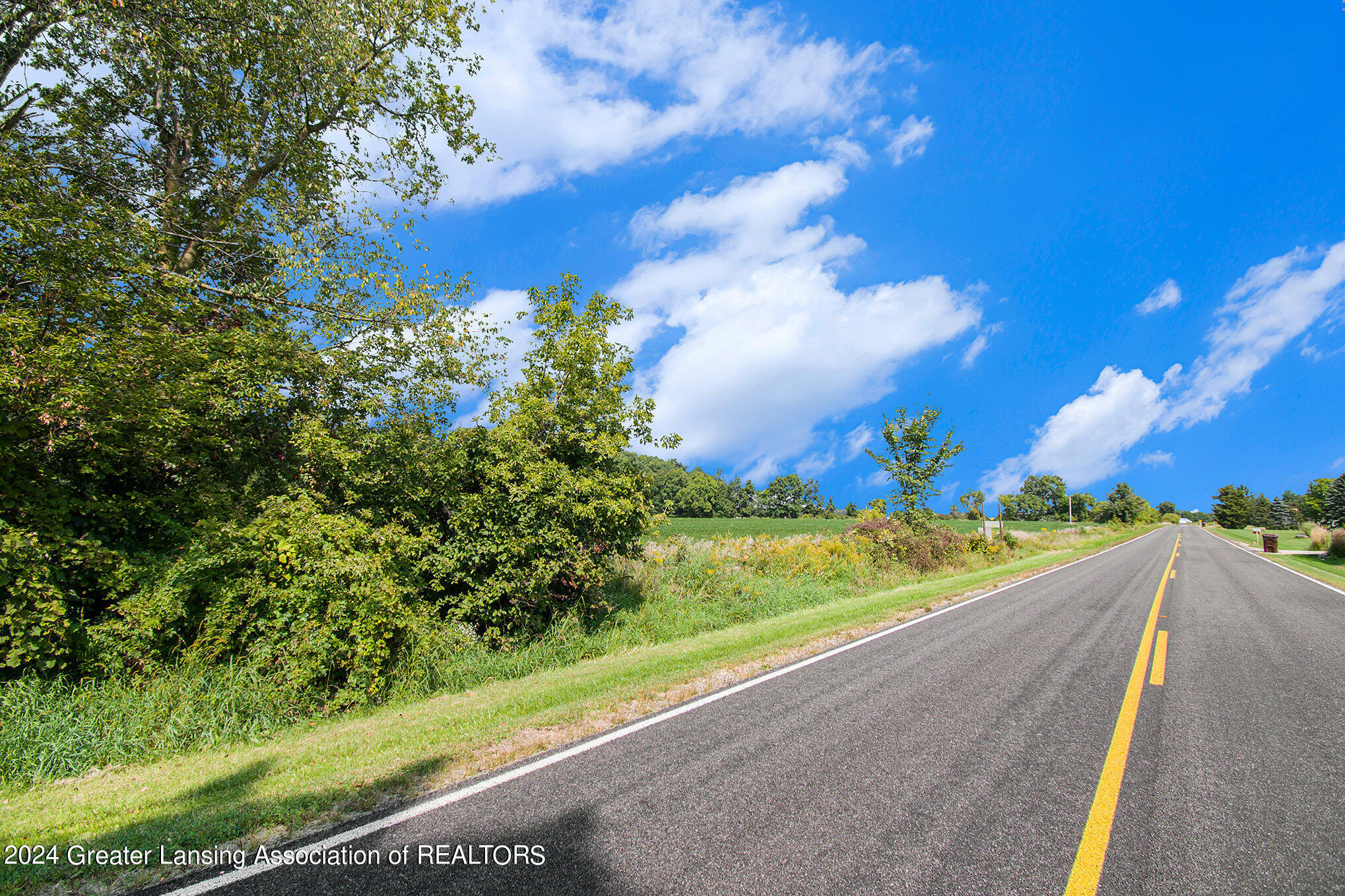 0 Springport Road Eaton Rapids, MI 48827 - Photo 4 of 18 001_ndp9132