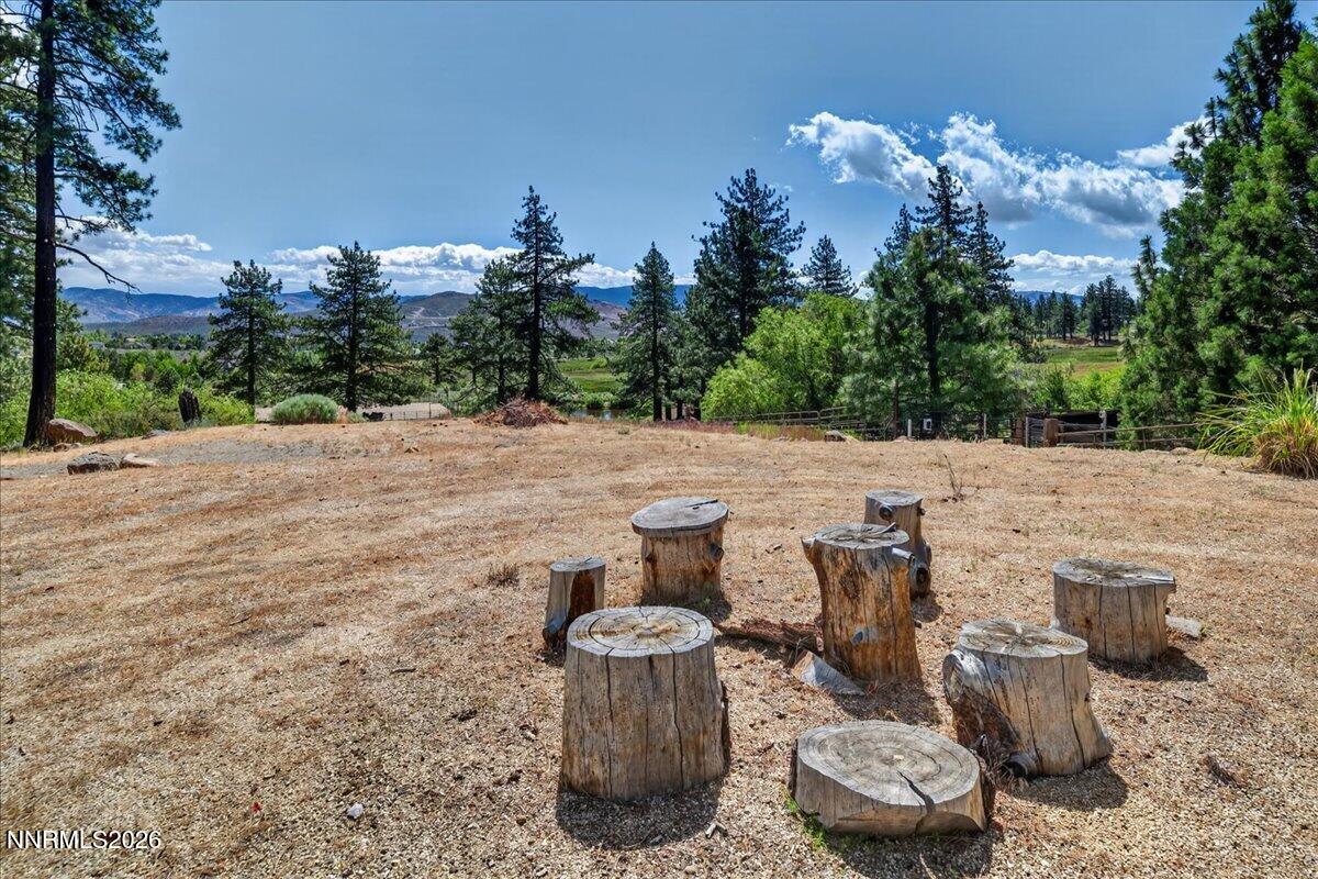 16925 Mt Rose Highway Reno, NV 89511 - Photo 19 of 64 19-DSC_2218